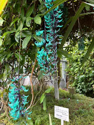 熱川バナナワニ園に投稿された画像（2026/4/25）