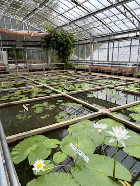 熱川バナナワニ園に投稿された画像（2026/4/25）