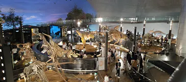 福井県立恐竜博物館に投稿された画像（2026/4/25）