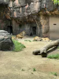 天王寺動物園に投稿された画像（2026/4/25）
