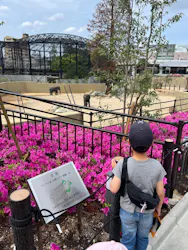 天王寺動物園に投稿された画像（2026/4/25）