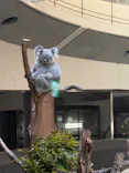 多摩動物公園に投稿された画像（2026/4/25）