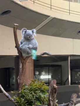 多摩動物公園に投稿された画像（2026/4/25）