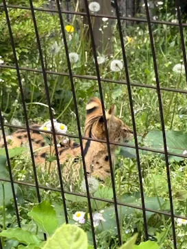 多摩動物公園に投稿された画像（2026/4/25）