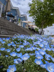 ムーミンバレーパークに投稿された画像（2026/4/25）
