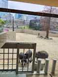 天王寺動物園に投稿された画像（2026/4/25）