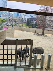 天王寺動物園に投稿された画像（2026/4/25）