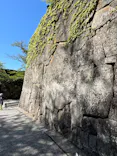 鶴ヶ城に投稿された画像（2026/4/25）