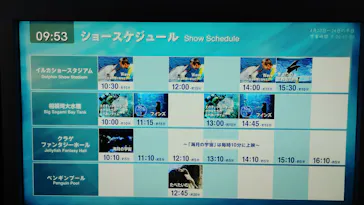 新江ノ島水族館に投稿された画像（2026/4/25）