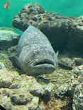 葛西臨海水族園に投稿された画像（2026/4/25）