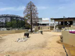 天王寺動物園に投稿された画像（2026/4/25）