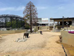 天王寺動物園に投稿された画像（2026/4/25）