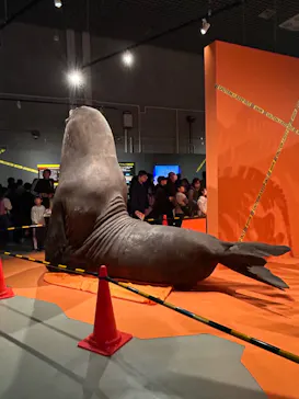 特別展「超危険生物展　科学で挑む生き物の本気」に投稿された画像（2026/4/25）