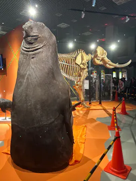 特別展「超危険生物展　科学で挑む生き物の本気」に投稿された画像（2026/4/25）