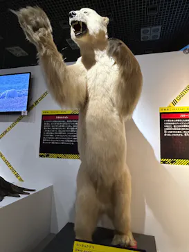 特別展「超危険生物展　科学で挑む生き物の本気」に投稿された画像（2026/4/25）
