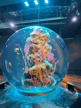 AQUARIUM × ART　atoa×felissimo chocolate museum（フェリシモ チョコレート ミュージアム）に投稿された画像（2026/4/25）