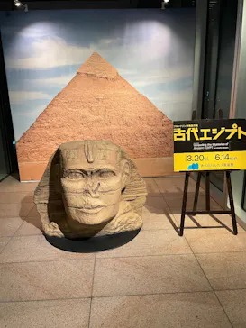 ハルカス300(展望台)に投稿された画像（2026/4/25）
