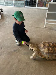 霞ケ浦 どうぶつとみんなのいえに投稿された画像（2026/4/25）