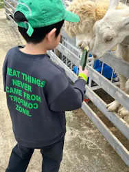 霞ケ浦 どうぶつとみんなのいえに投稿された画像（2026/4/25）