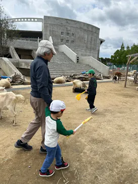 霞ケ浦 どうぶつとみんなのいえに投稿された画像（2026/4/25）