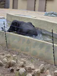 天王寺動物園に投稿された画像（2026/4/25）