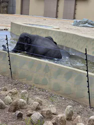 天王寺動物園に投稿された画像（2026/4/25）