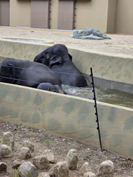 天王寺動物園に投稿された画像（2026/4/25）