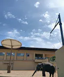 天王寺動物園に投稿された画像（2026/4/25）