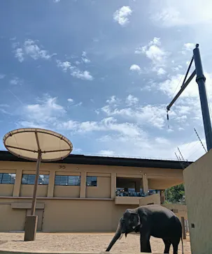 天王寺動物園に投稿された画像（2026/4/25）