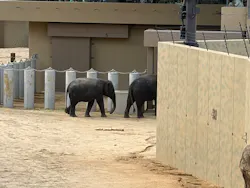 天王寺動物園に投稿された画像（2026/4/25）