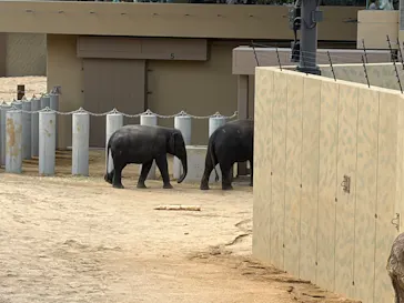 天王寺動物園に投稿された画像（2026/4/25）