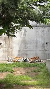 天王寺動物園に投稿された画像（2026/4/25）