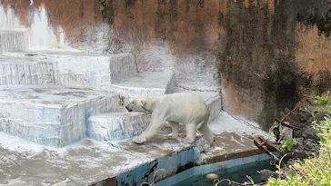 天王寺動物園に投稿された画像（2026/4/25）
