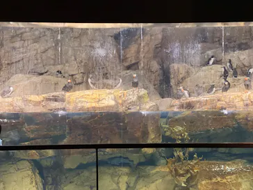 葛西臨海水族園に投稿された画像（2026/4/25）