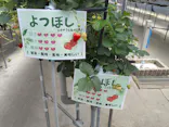 東松山市農林公園に投稿された画像（2026/4/25）