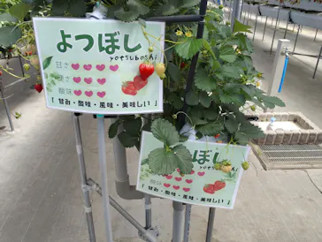 東松山市農林公園に投稿された画像（2026/4/25）