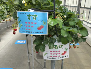 東松山市農林公園に投稿された画像（2026/4/25）