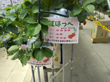 東松山市農林公園に投稿された画像（2026/4/25）