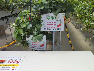 東松山市農林公園に投稿された画像（2026/4/25）