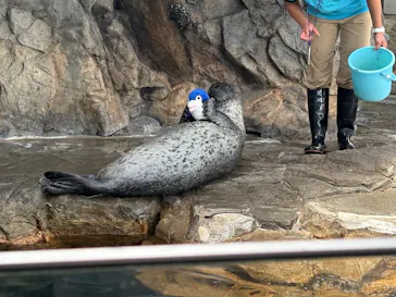 しながわ水族館に投稿された画像（2026/4/25）