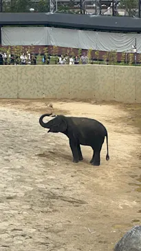 天王寺動物園に投稿された画像（2026/4/25）