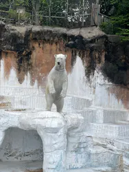 天王寺動物園に投稿された画像（2026/4/25）