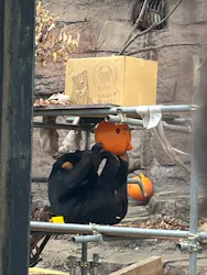天王寺動物園に投稿された画像（2026/4/25）