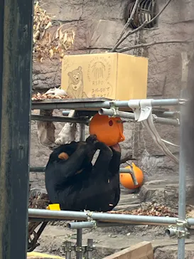 天王寺動物園に投稿された画像（2026/4/25）
