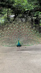 ネオパークオキナワに投稿された画像（2026/4/25）