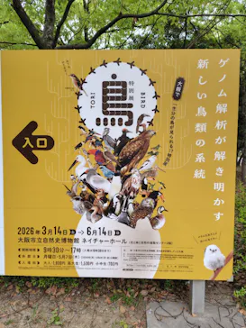 特別展「鳥 ～ゲノム解析が解き明かす新しい鳥類の系統～」に投稿された画像（2026/4/25）