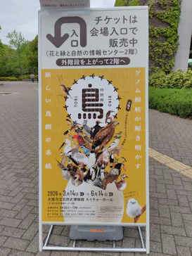 特別展「鳥 ～ゲノム解析が解き明かす新しい鳥類の系統～」に投稿された画像（2026/4/25）