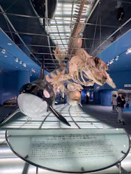 名古屋港水族館に投稿された画像（2026/4/25）