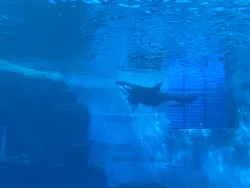 名古屋港水族館に投稿された画像（2026/4/25）