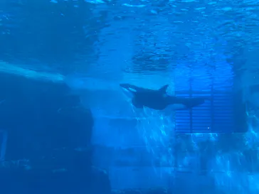 名古屋港水族館に投稿された画像（2026/4/25）